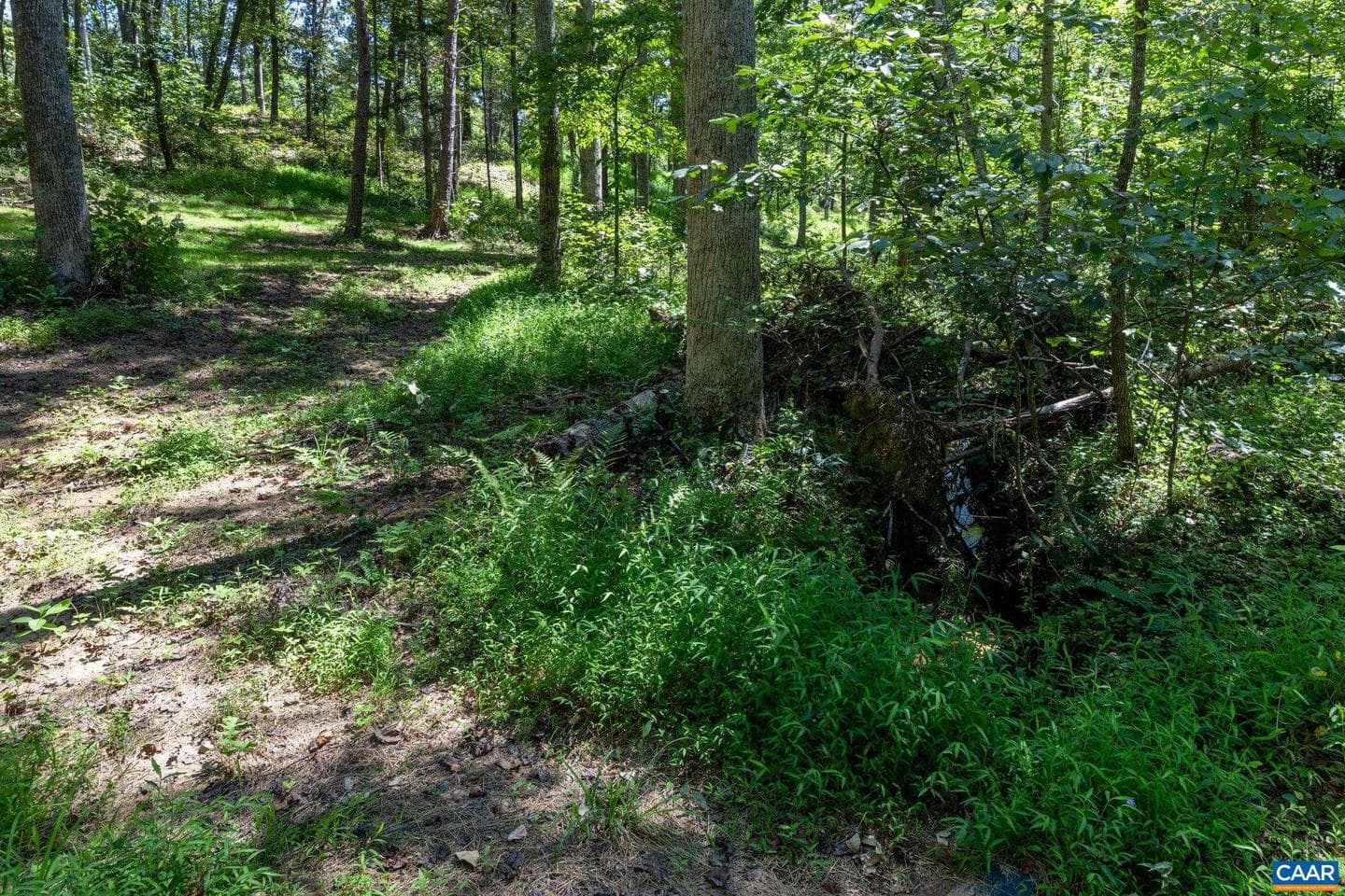 12 Langdon Woods Dr photo 70