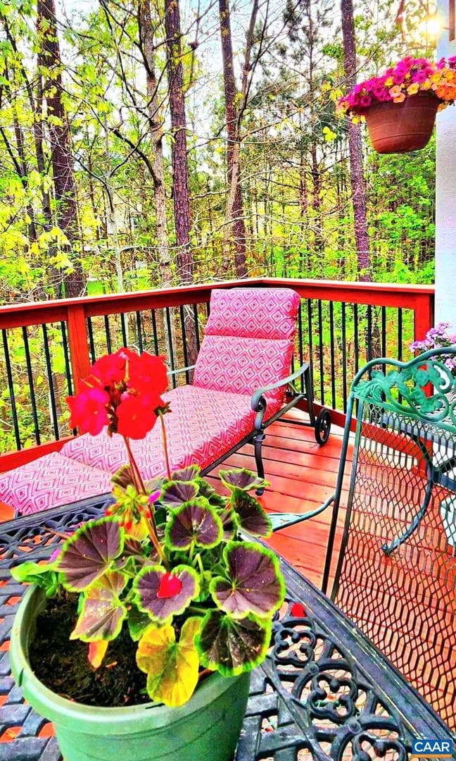 2 Forest Ct photo 11