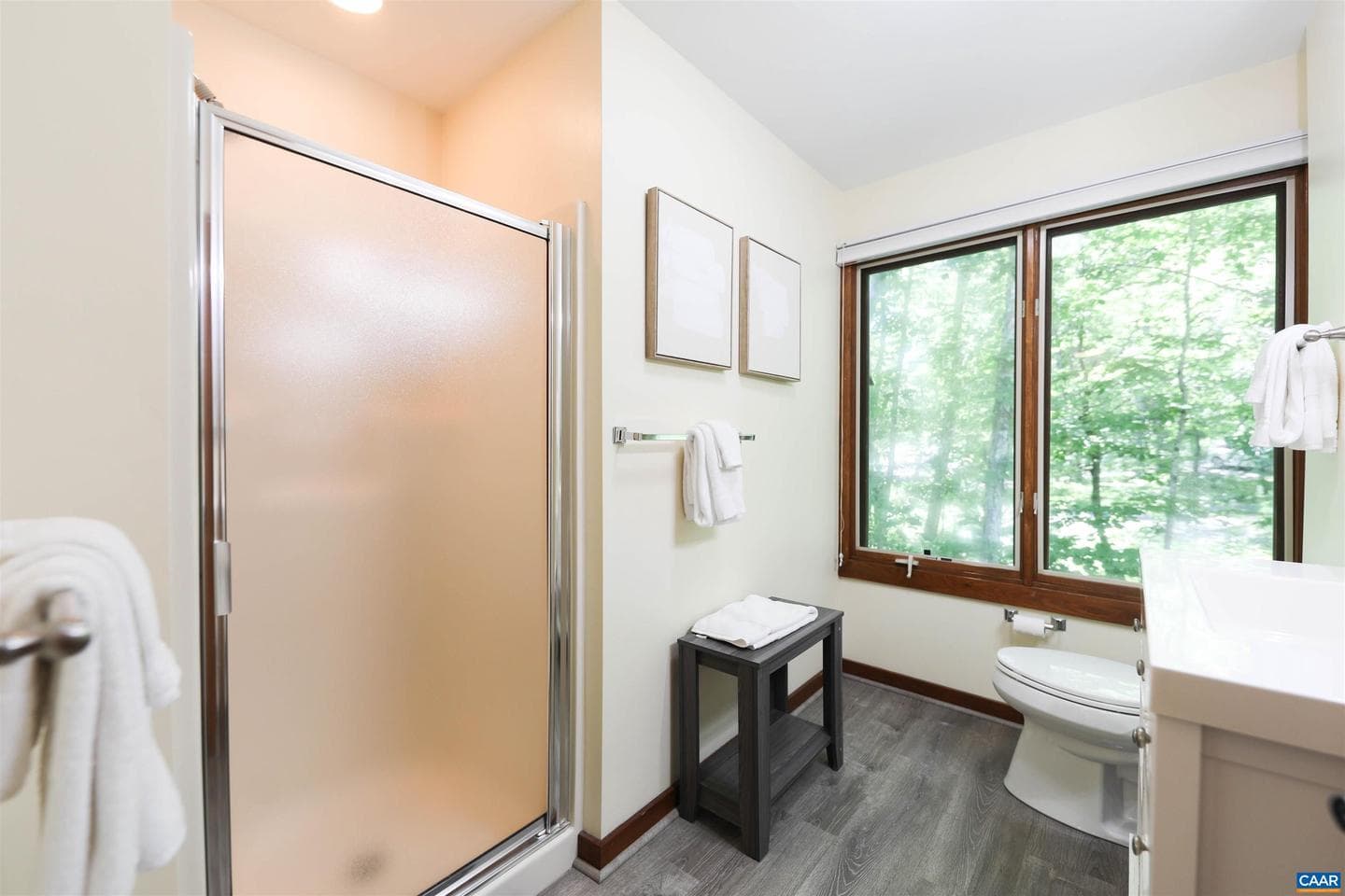 278 E Catoctin Dr photo 67