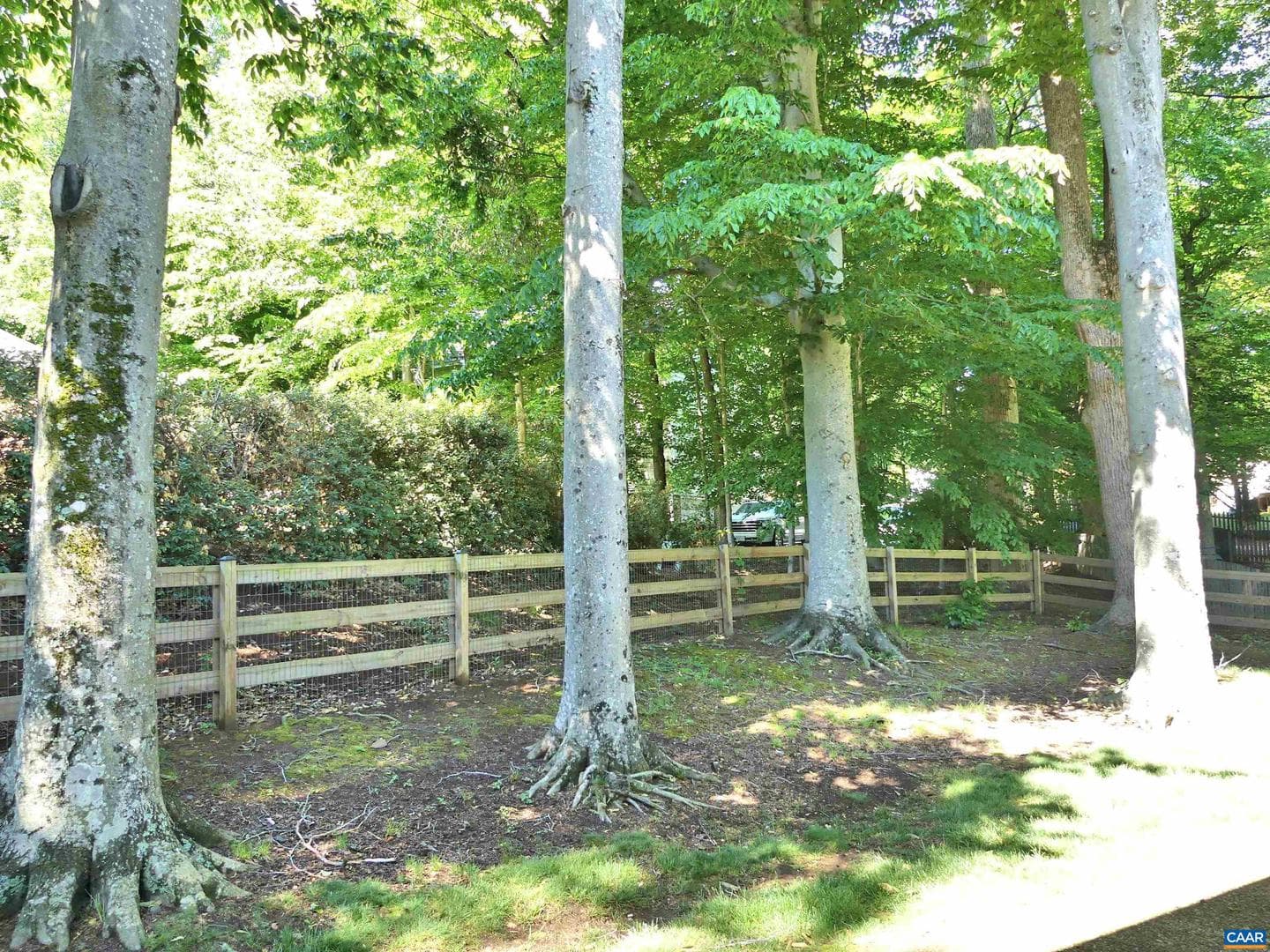 1230 Dunlora Dr photo 35