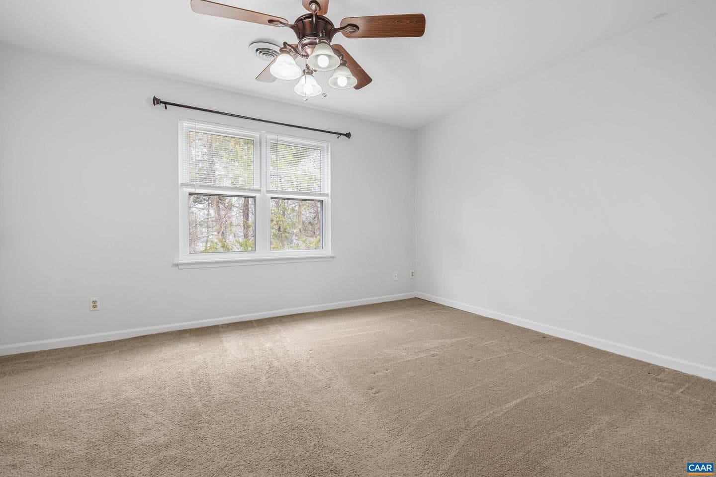 4654 Briarwood Dr photo 13