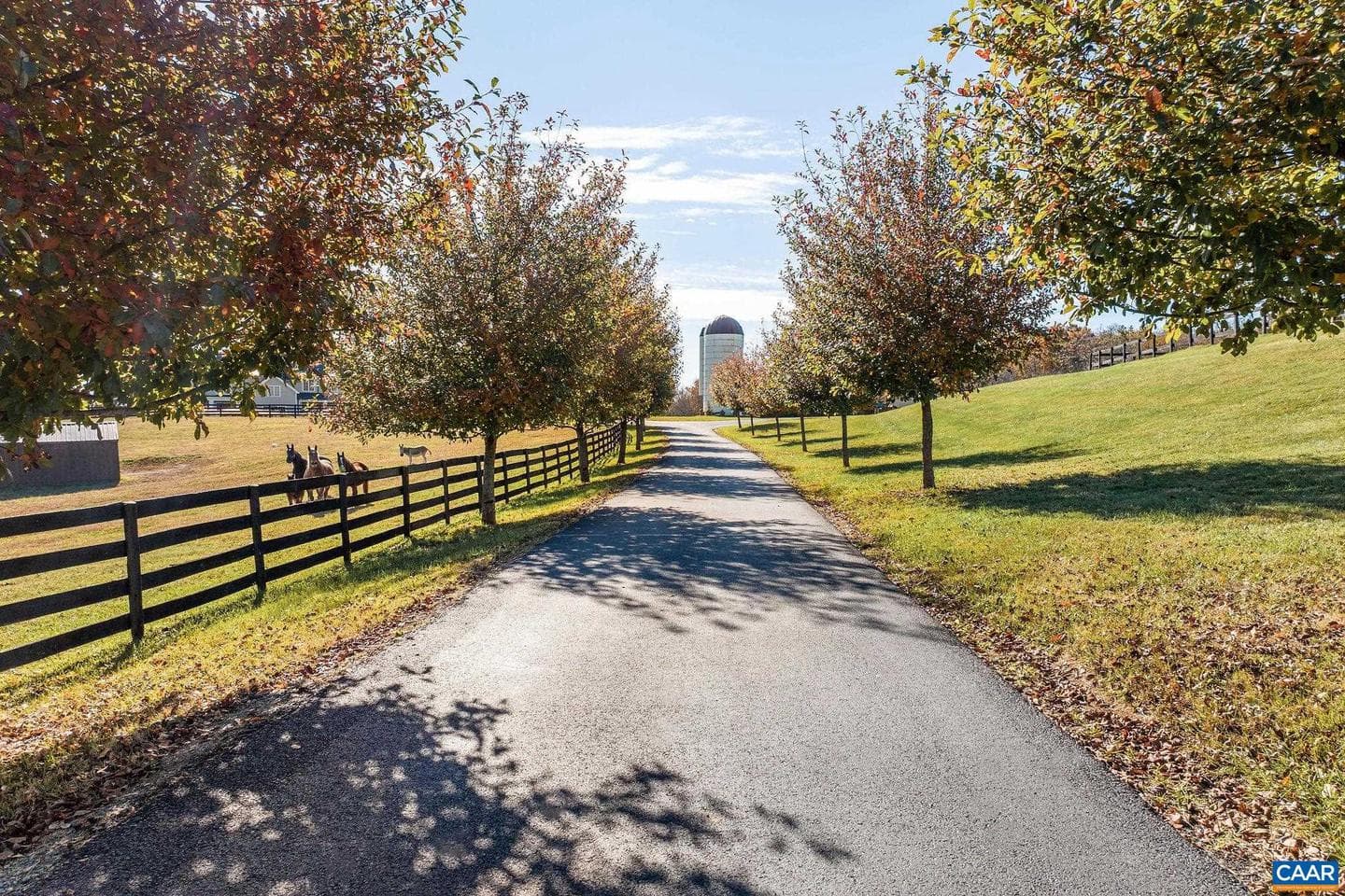 2687 Milton Farm photo 10