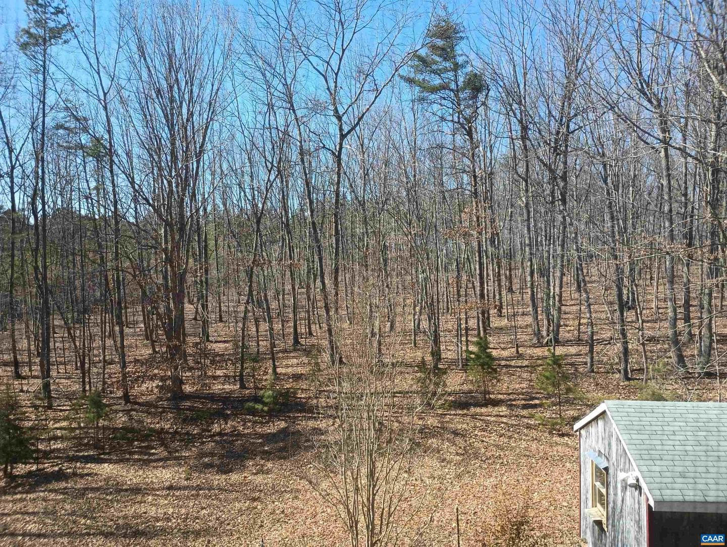 3901 Midland Rd photo 58