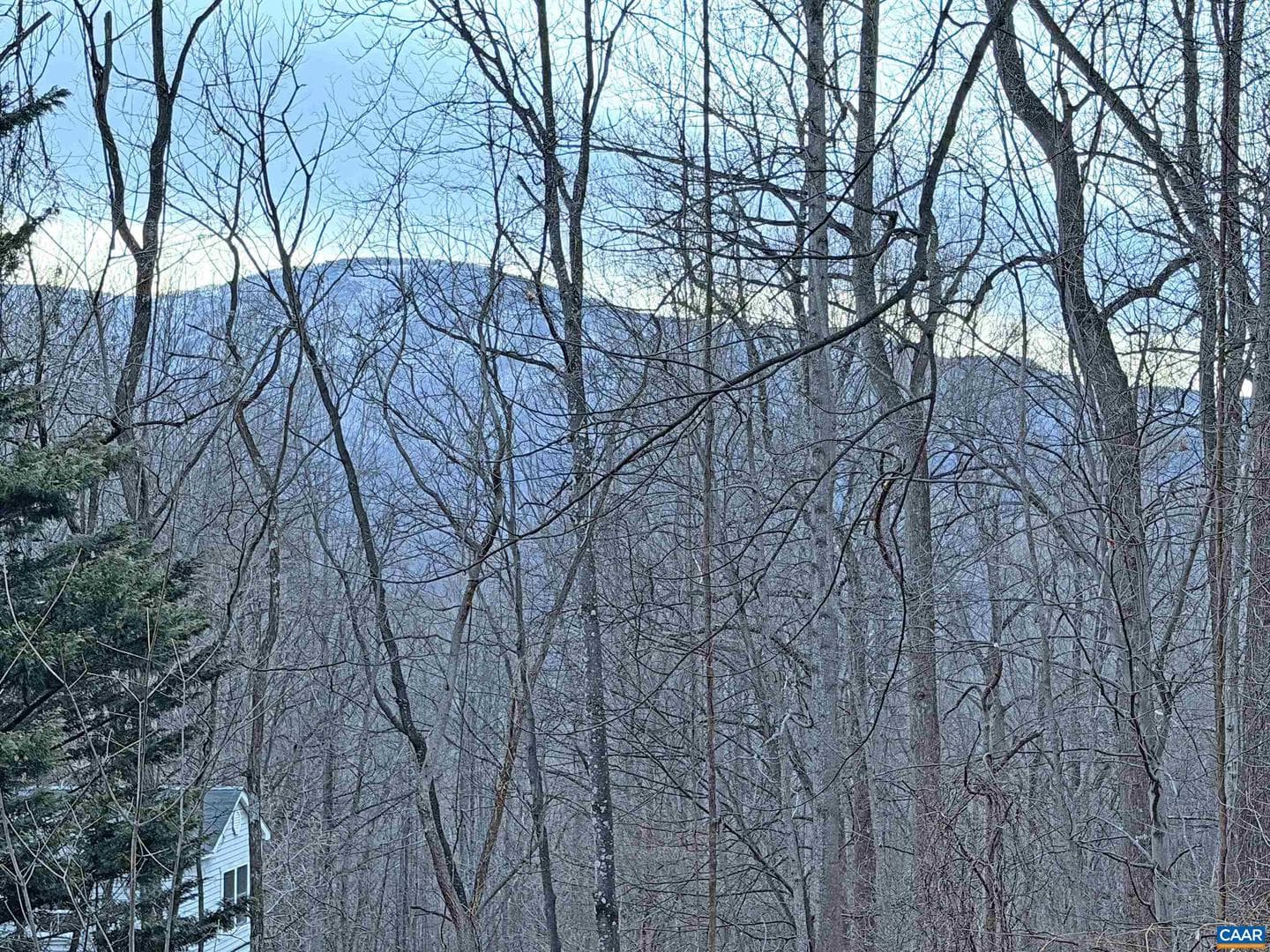 9 Dogwood Ln photo 3