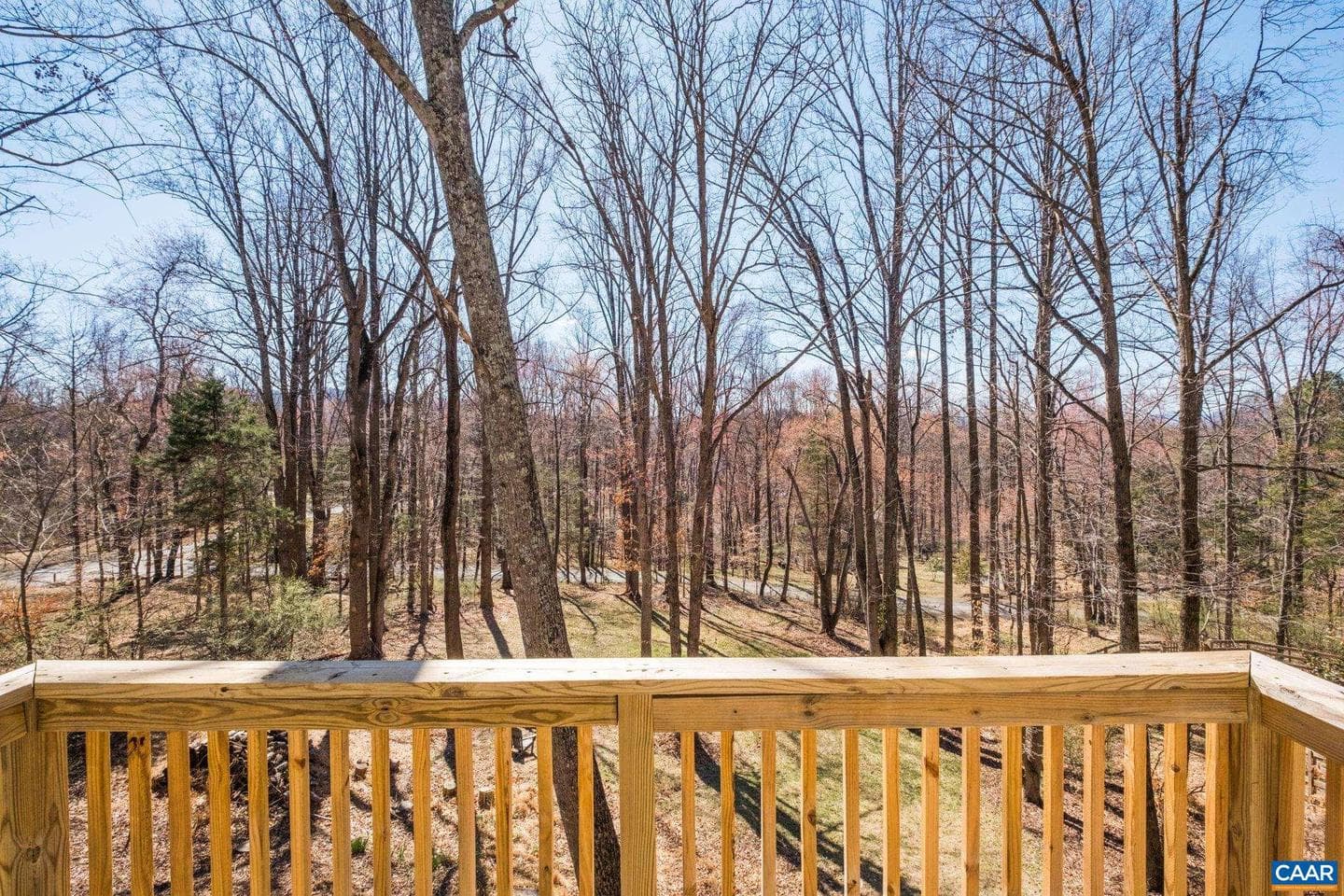 274 Grey Dove Ln photo 26