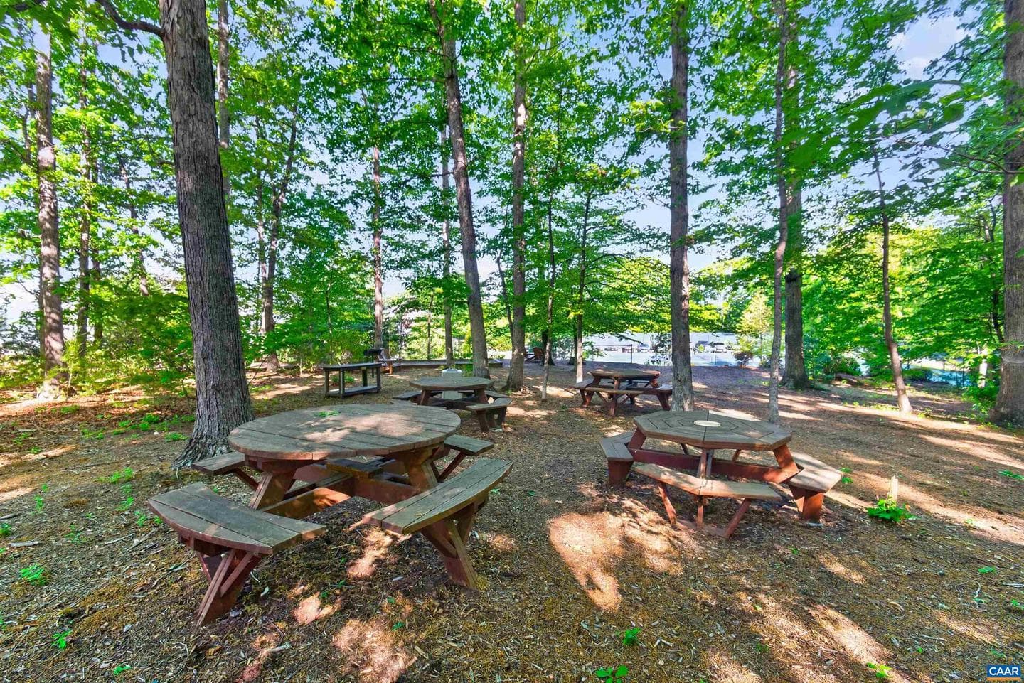 63 Villa Ave photo 41