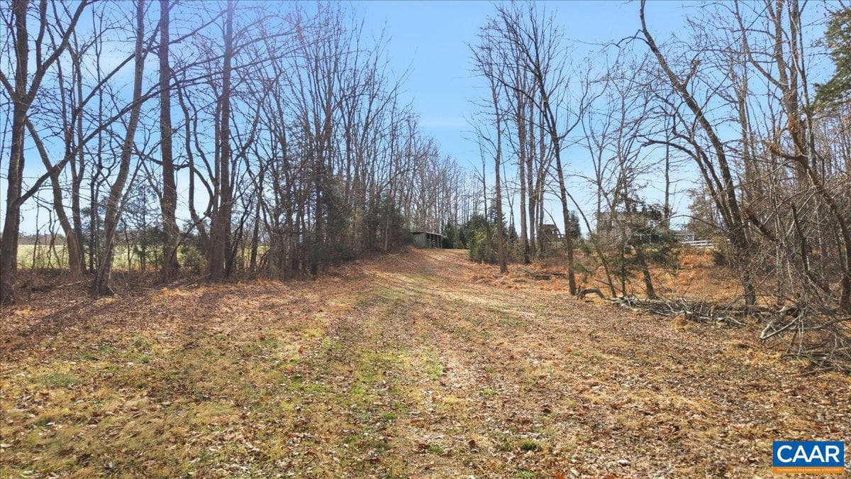 6256 Old Buckingham Rd photo 69