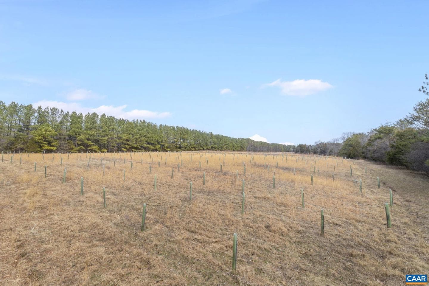 12048 Louisa Rd photo 41