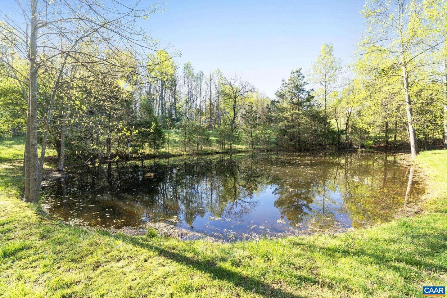 4053 Free Union Rd photo 5