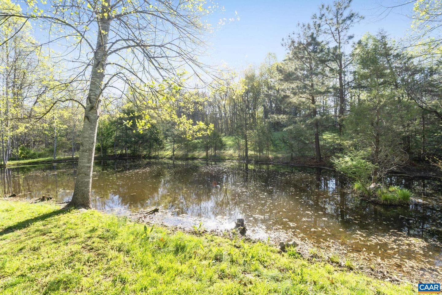 4053 Free Union Rd photo 60