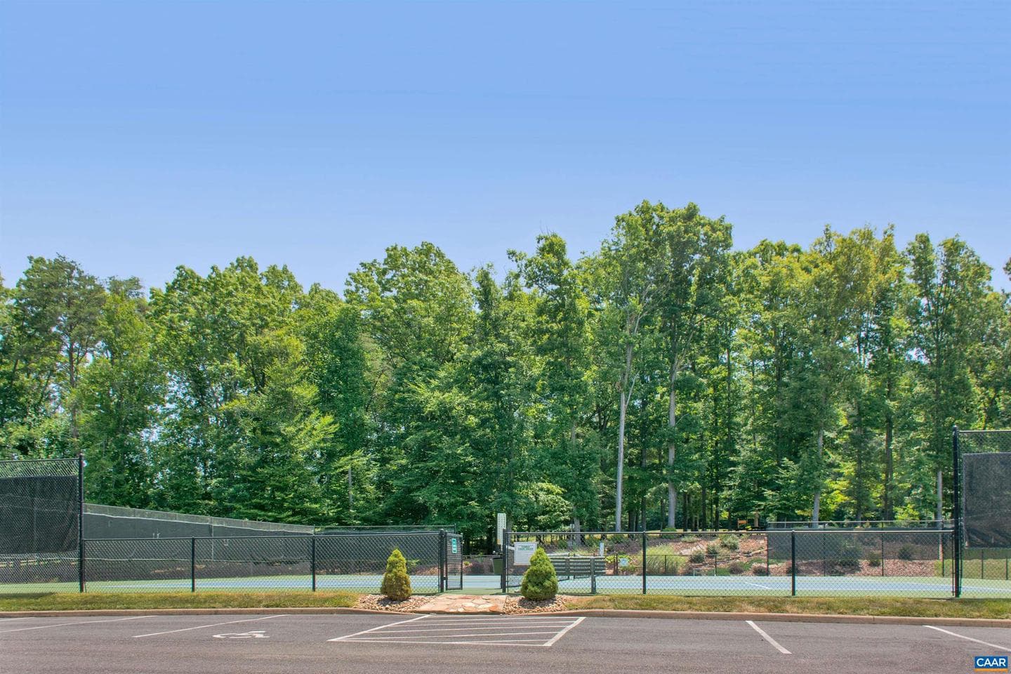 21 Blackberry Pl photo 43