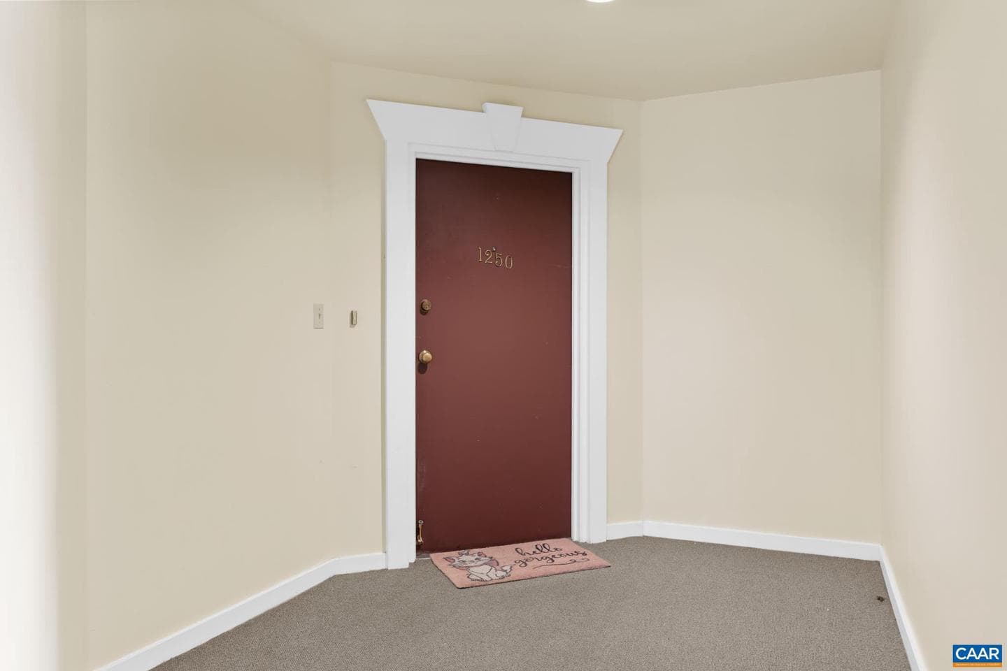 1250 Clifden Grn photo 19