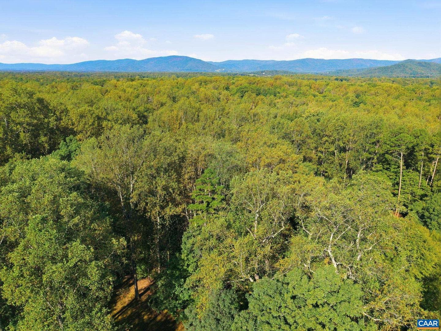 2404 Pine Garth Run photo 71