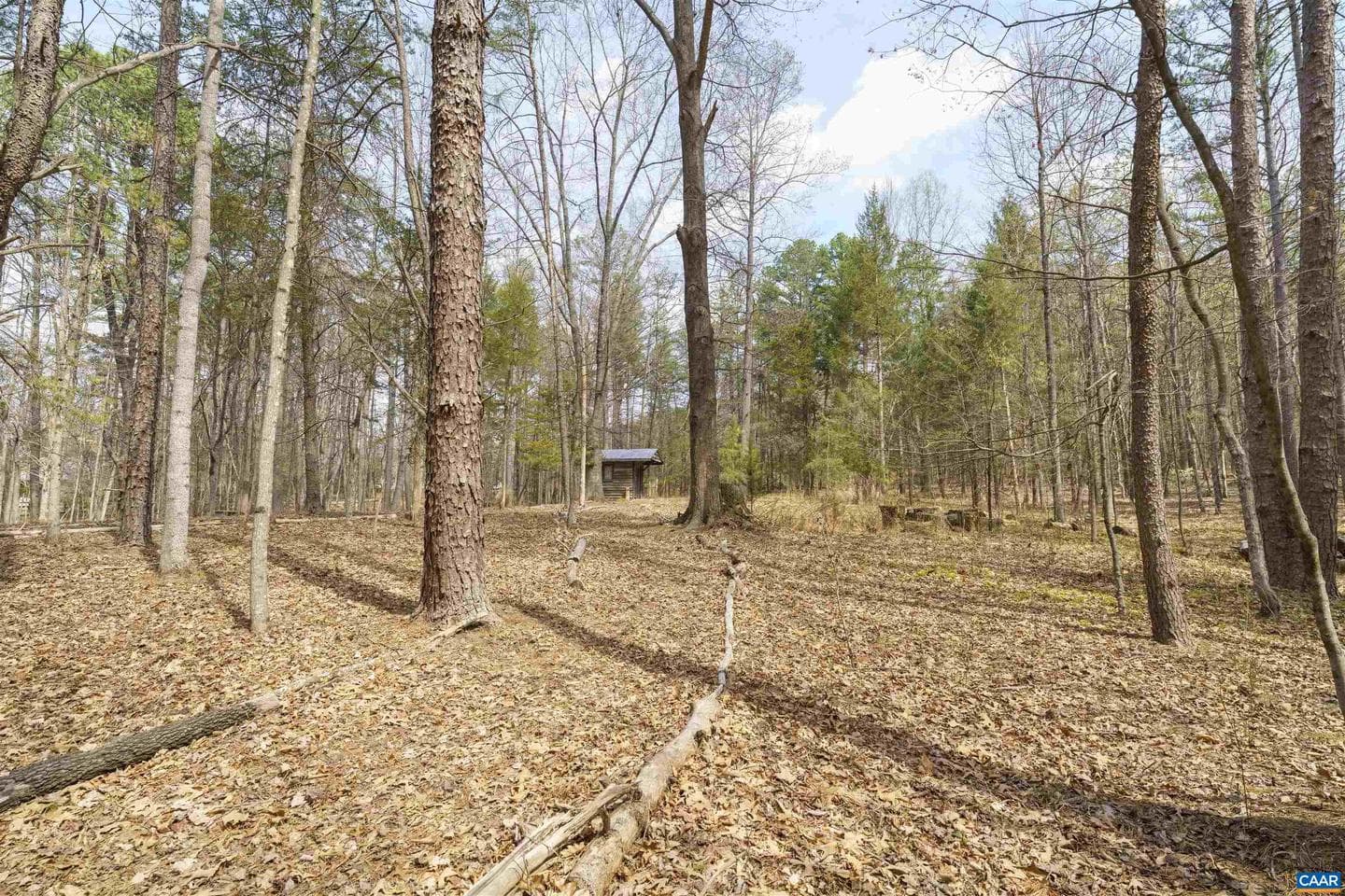 5695 Free Union Rd photo 54