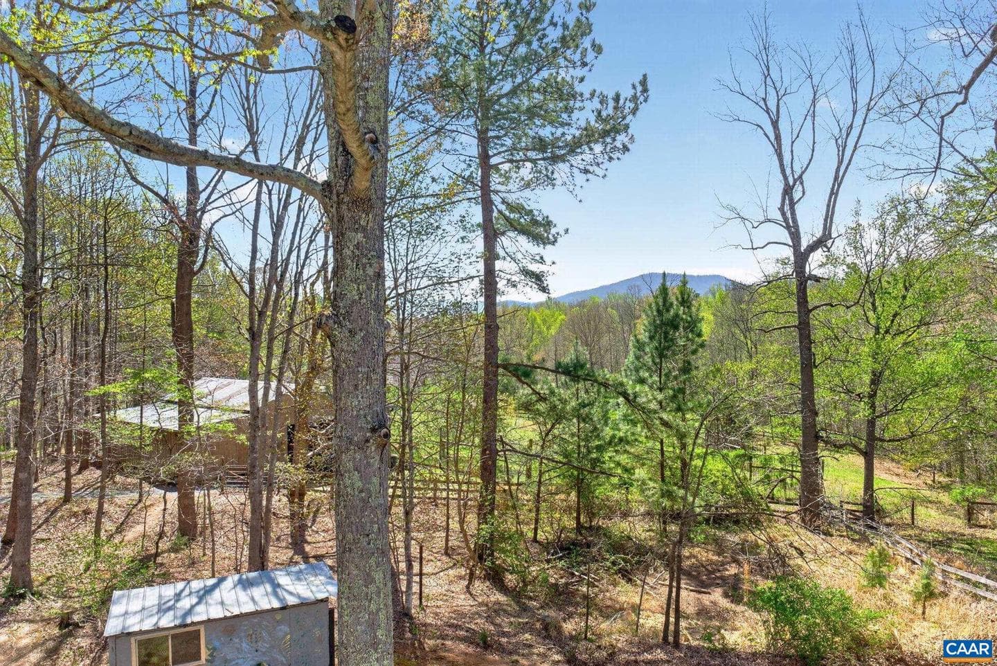 7087 Dick Woods Rd photo 23