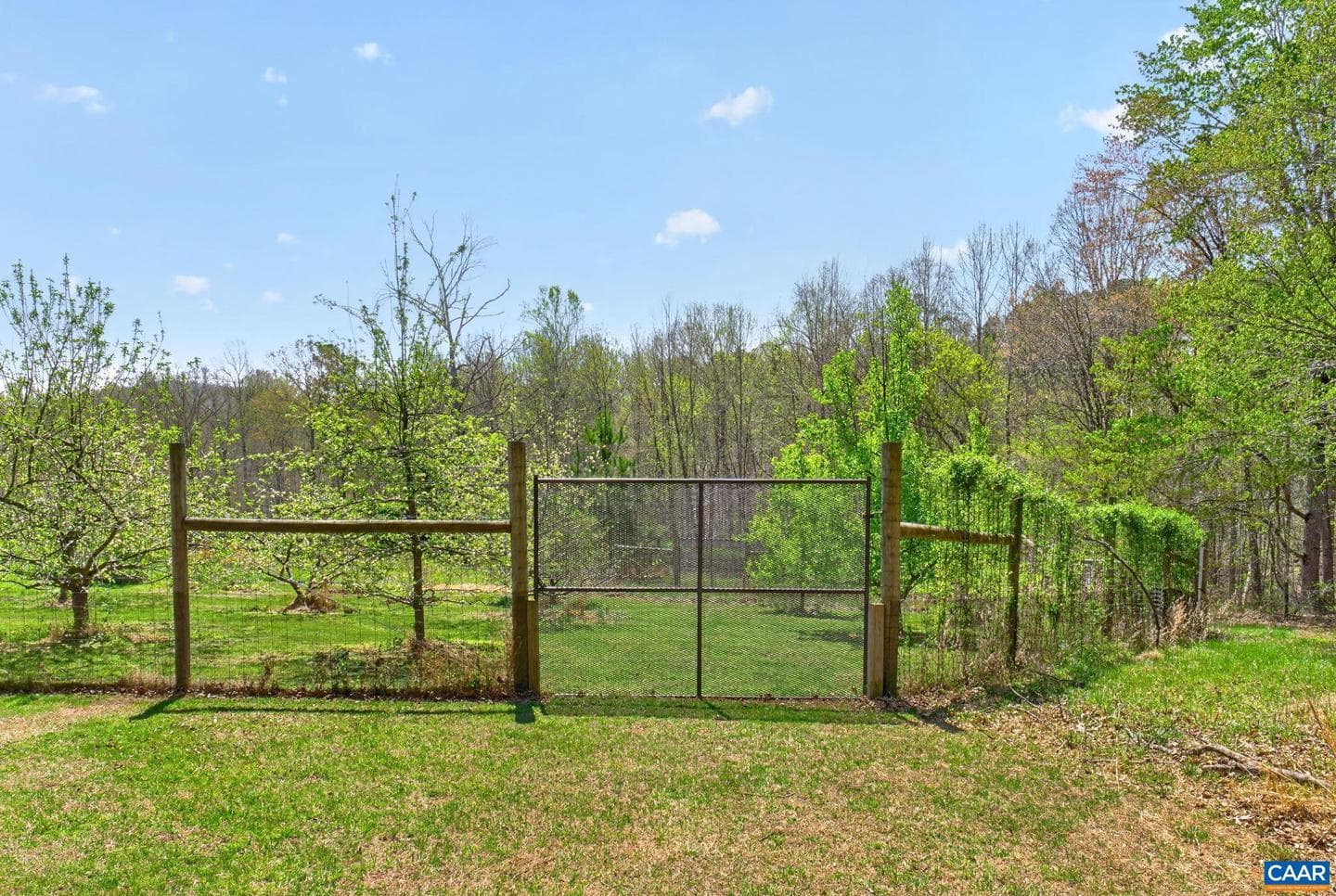 7087 Dick Woods Rd photo 48