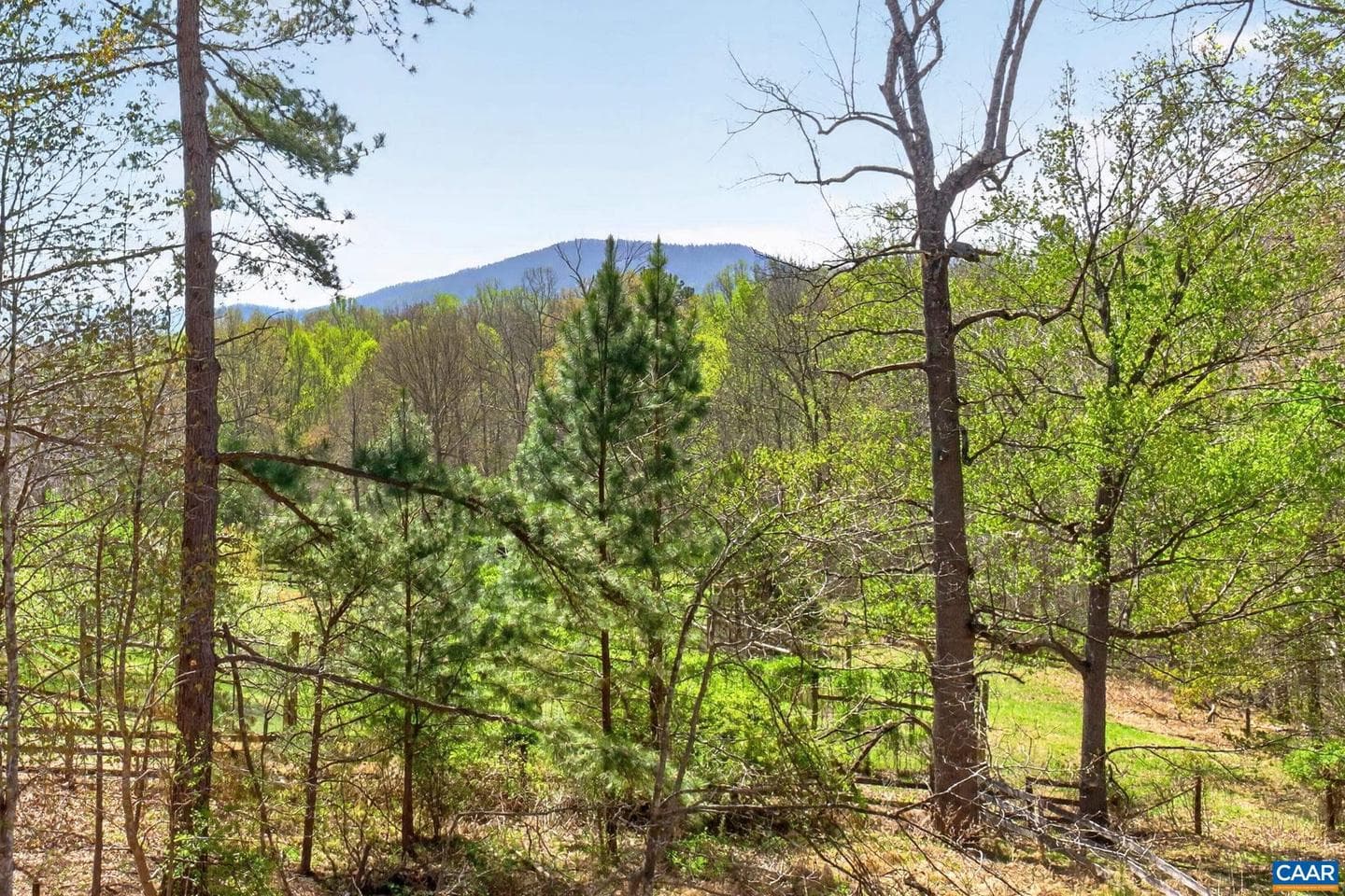 7087 Dick Woods Rd photo 5