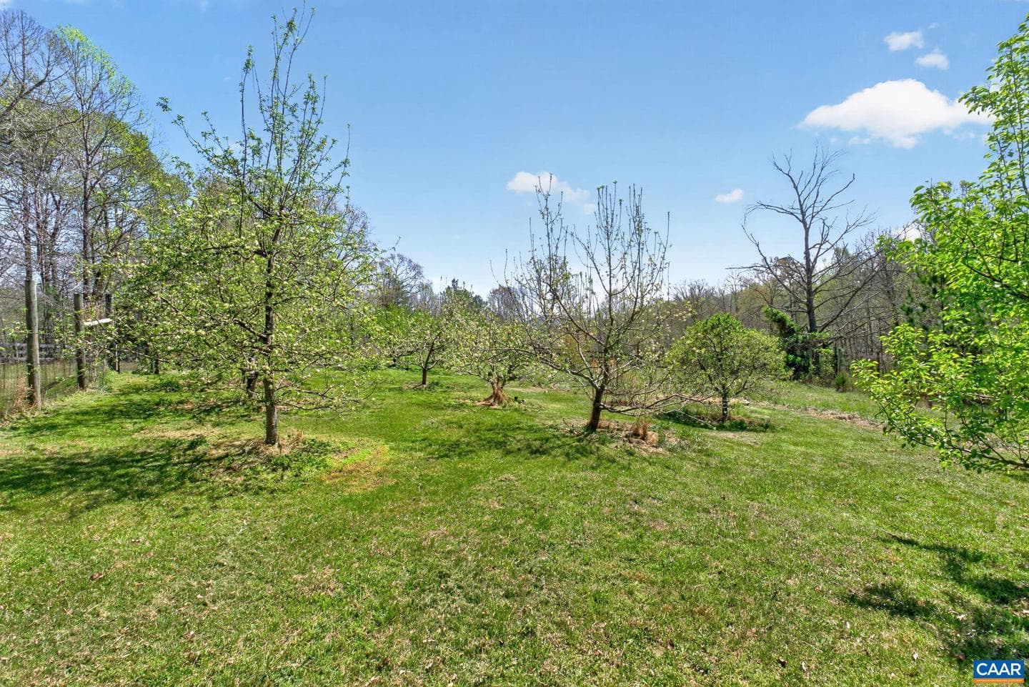 7087 Dick Woods Rd photo 50