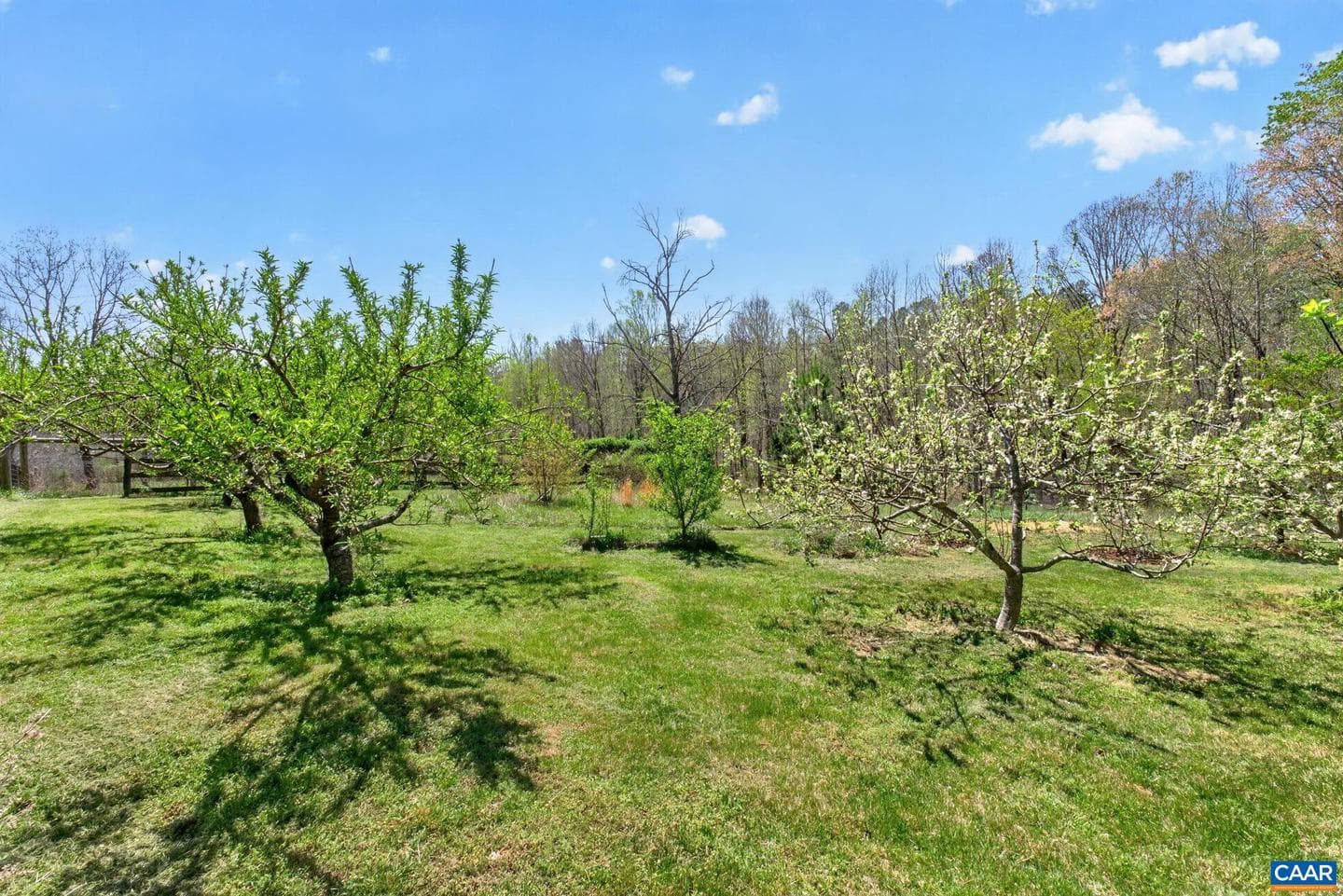 7087 Dick Woods Rd photo 51