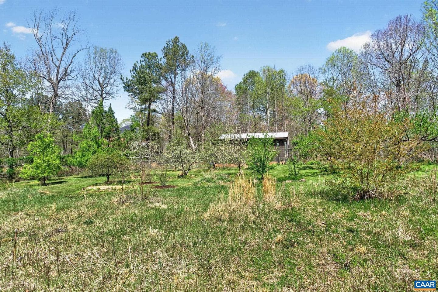 7087 Dick Woods Rd photo 52