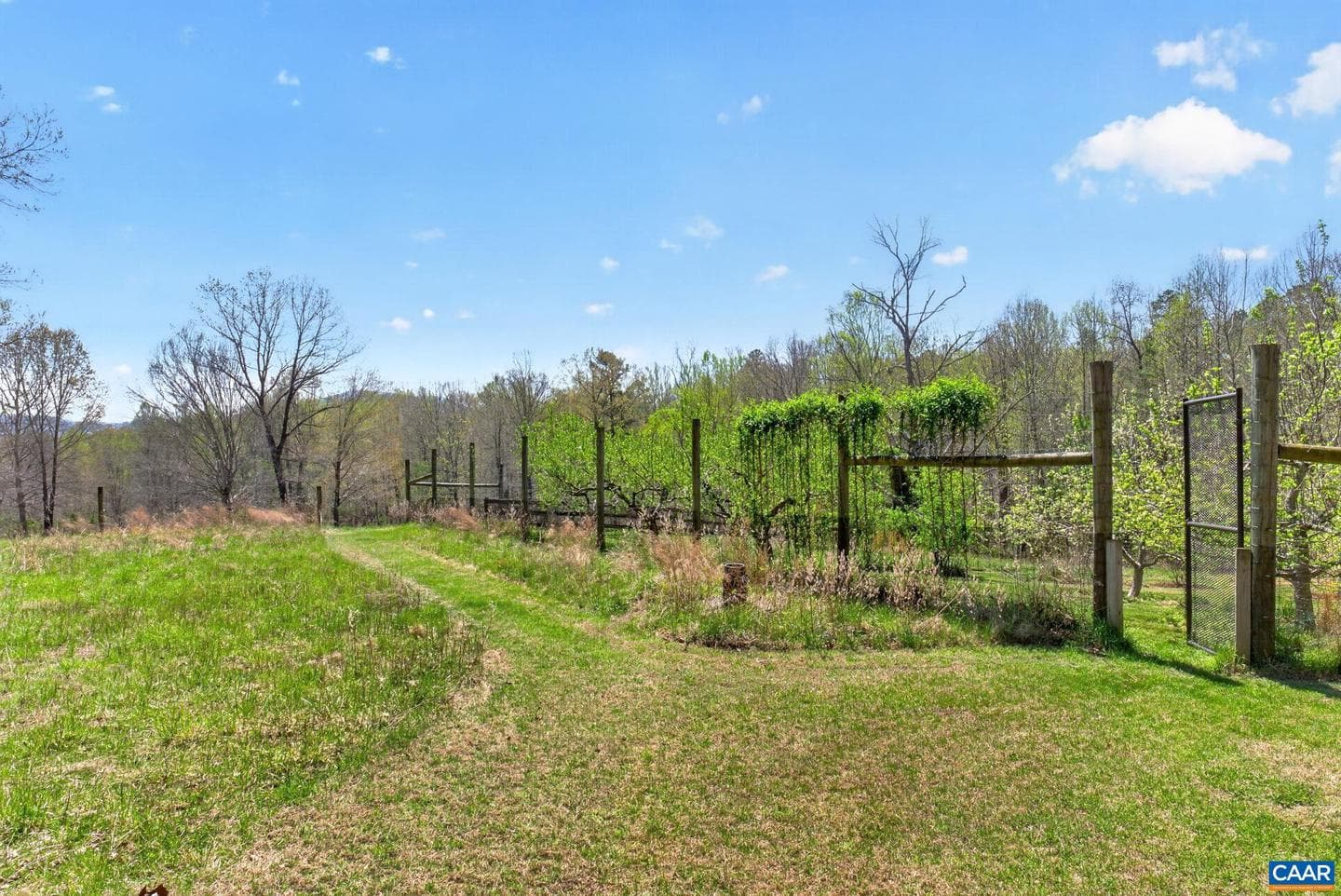 7087 Dick Woods Rd photo 58