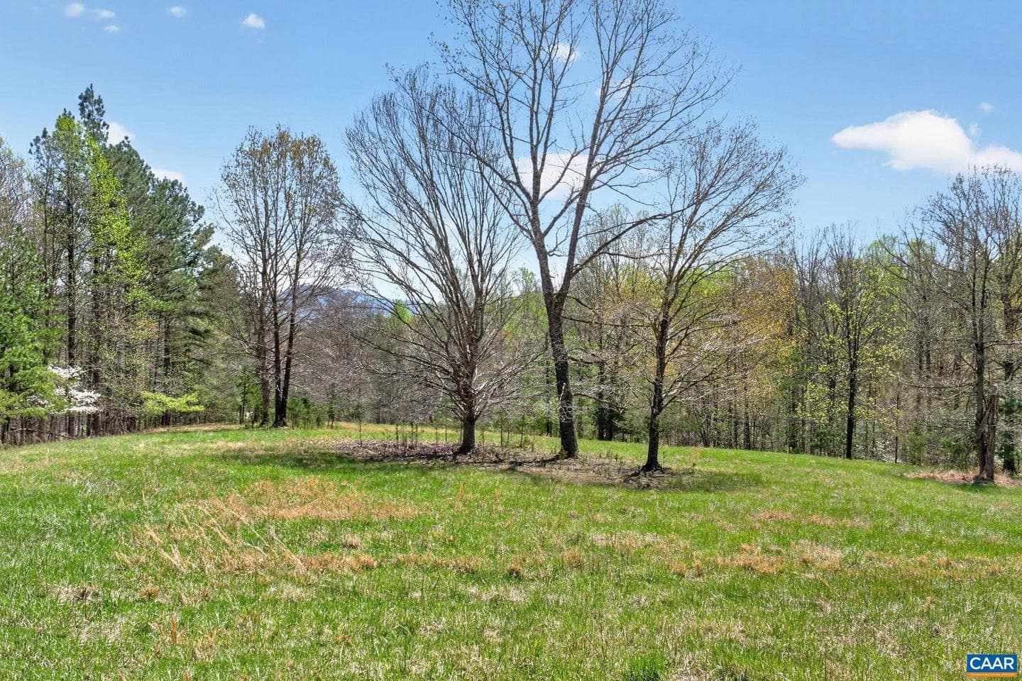 7087 Dick Woods Rd photo 59