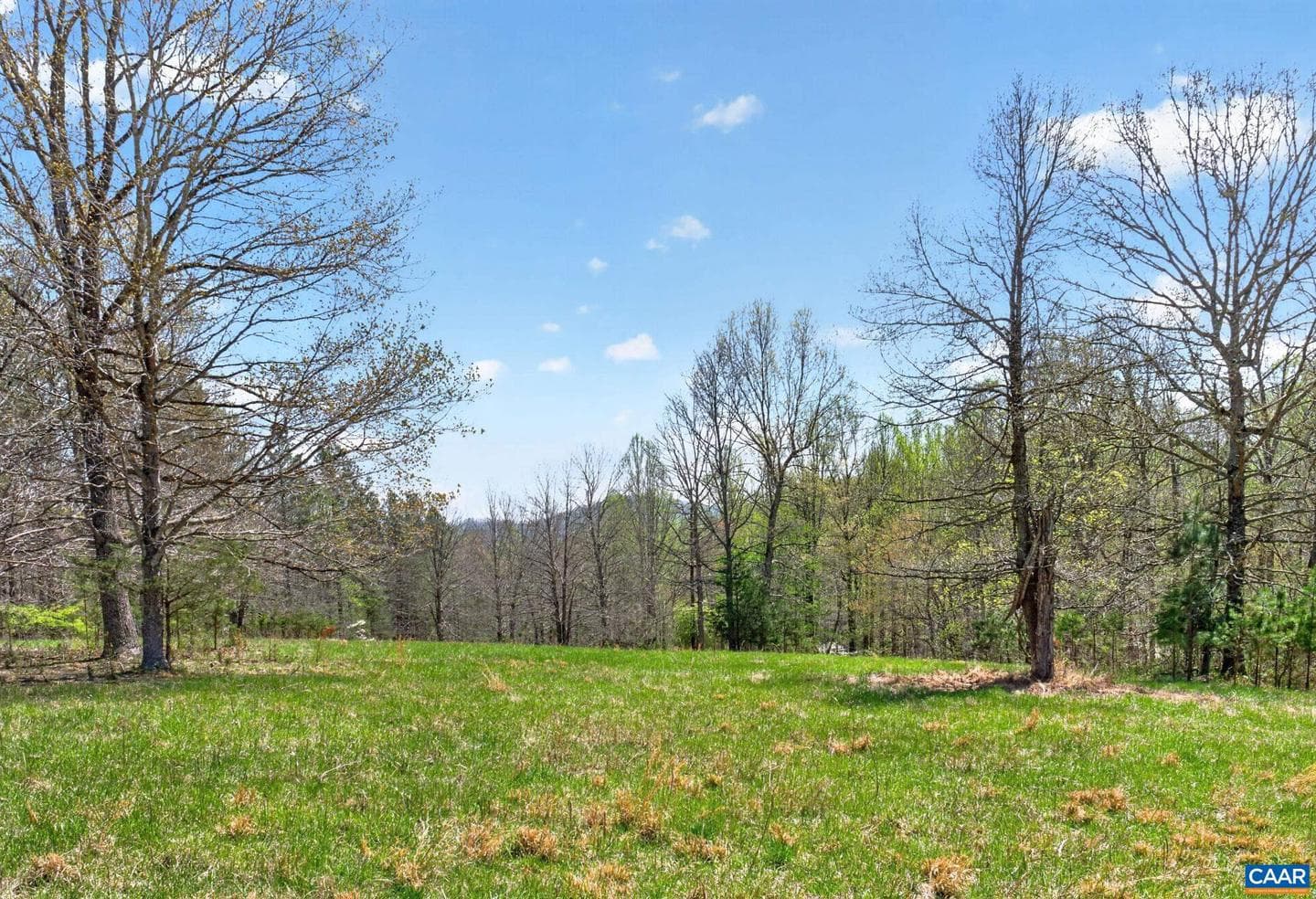 7087 Dick Woods Rd photo 60