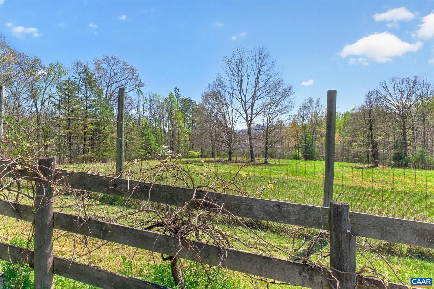 7087 Dick Woods Rd photo 61
