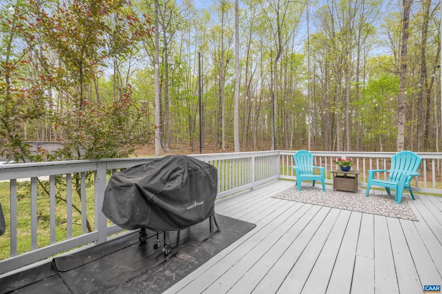 18383 James Madison Hwy photo 19