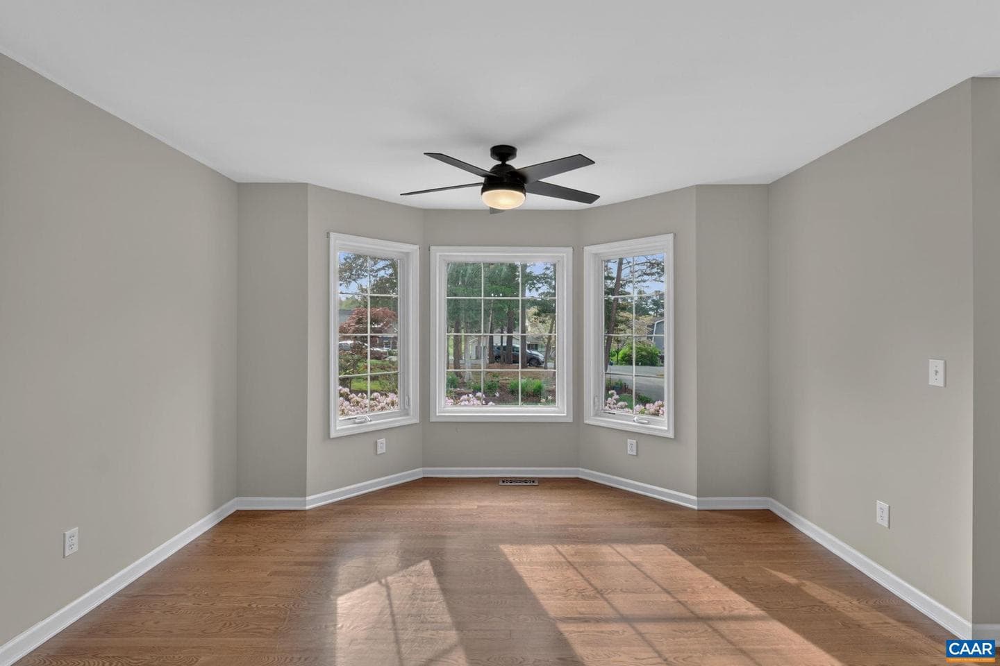 5 Campbell Ct photo 5