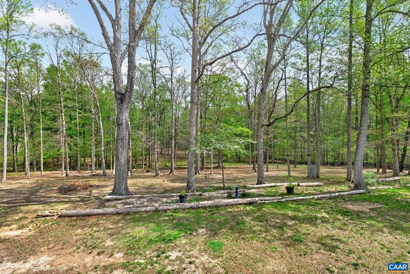133 Pine Forest Ln photo 31