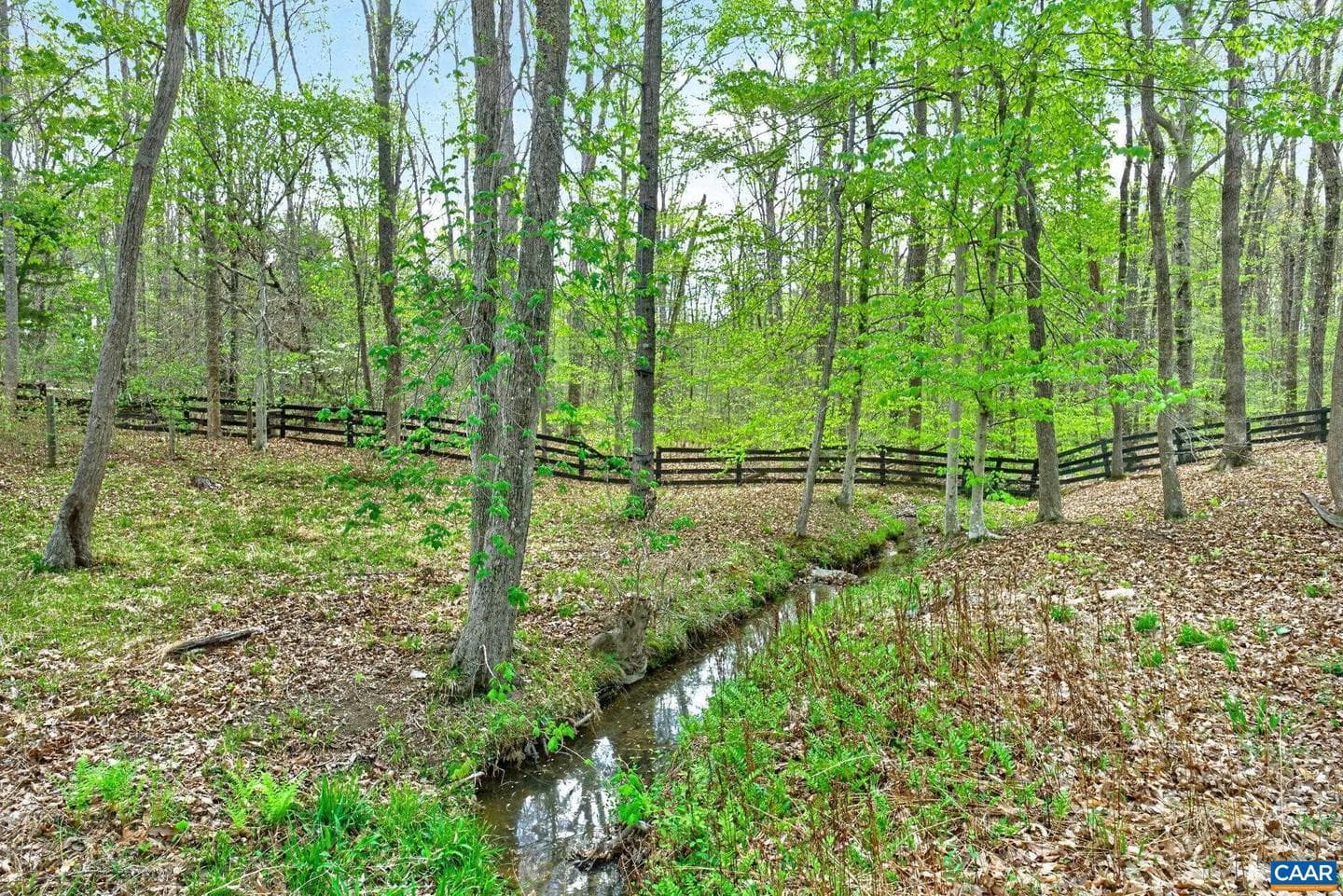 133 Pine Forest Ln photo 32