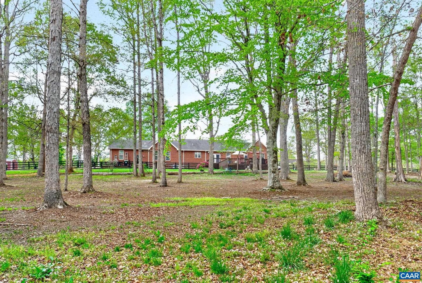 133 Pine Forest Ln photo 33
