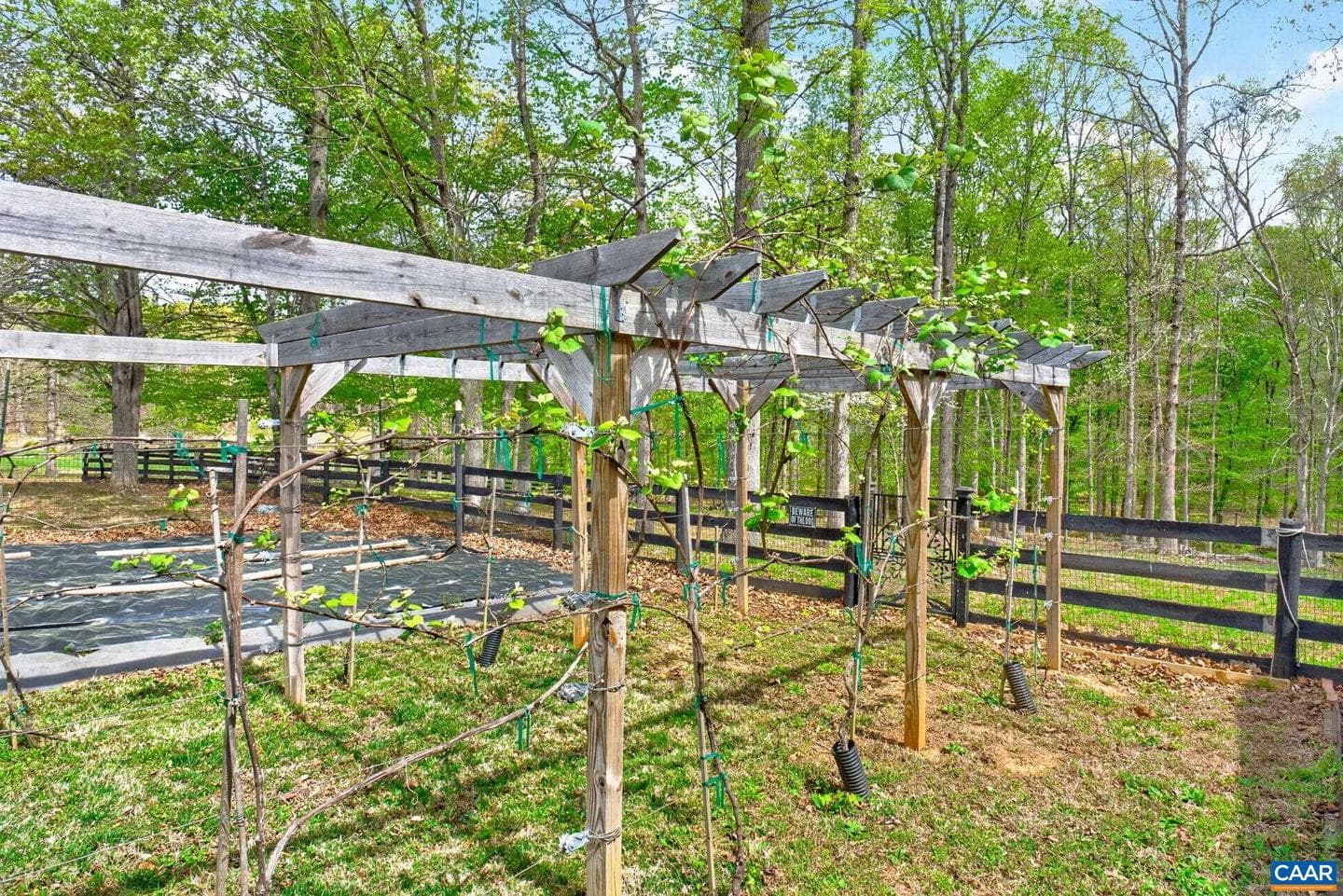 133 Pine Forest Ln photo 38