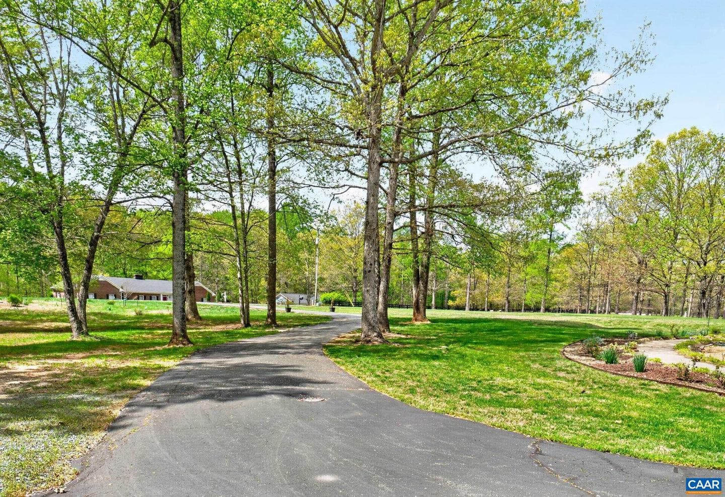 133 Pine Forest Ln photo 39