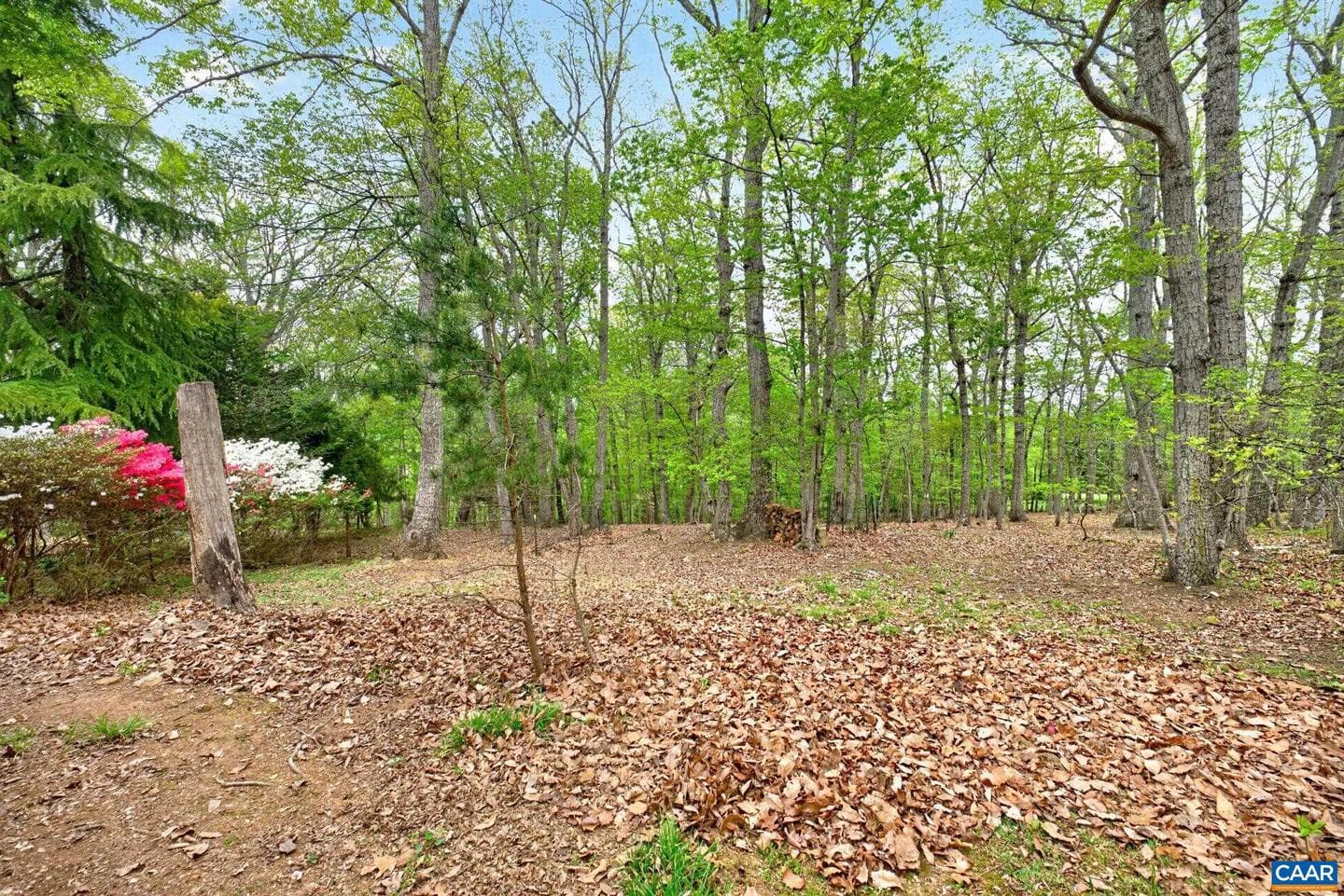 1670 Milton Rd photo 37