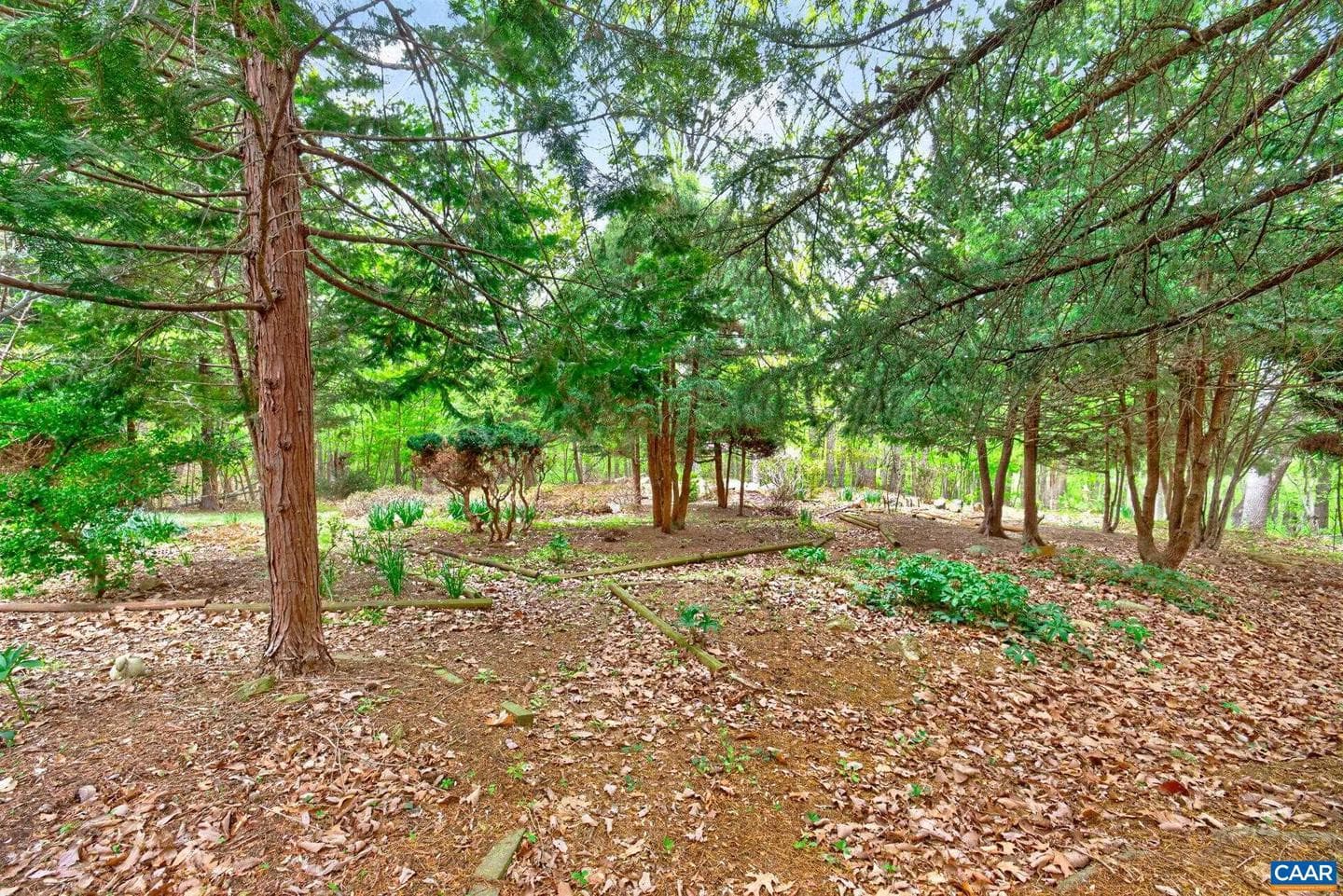 1670 Milton Rd photo 38