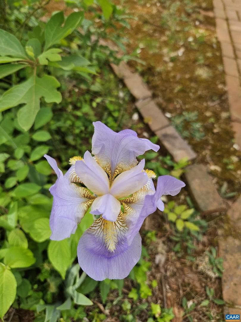 3271 Rosney Rd photo 47