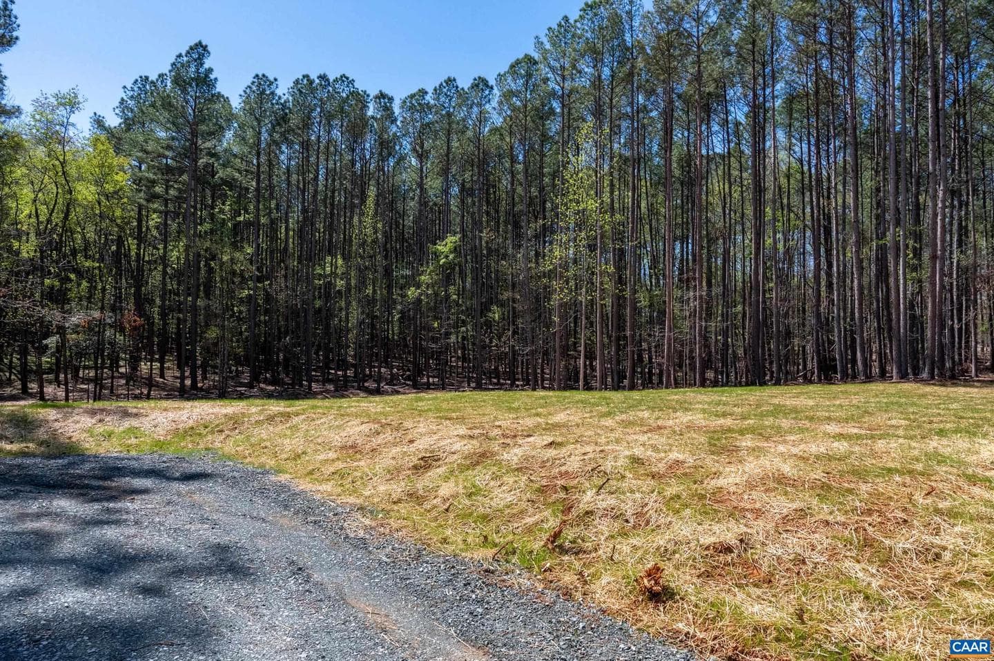 21 Acres Tbb Garth Gate Ln photo 12