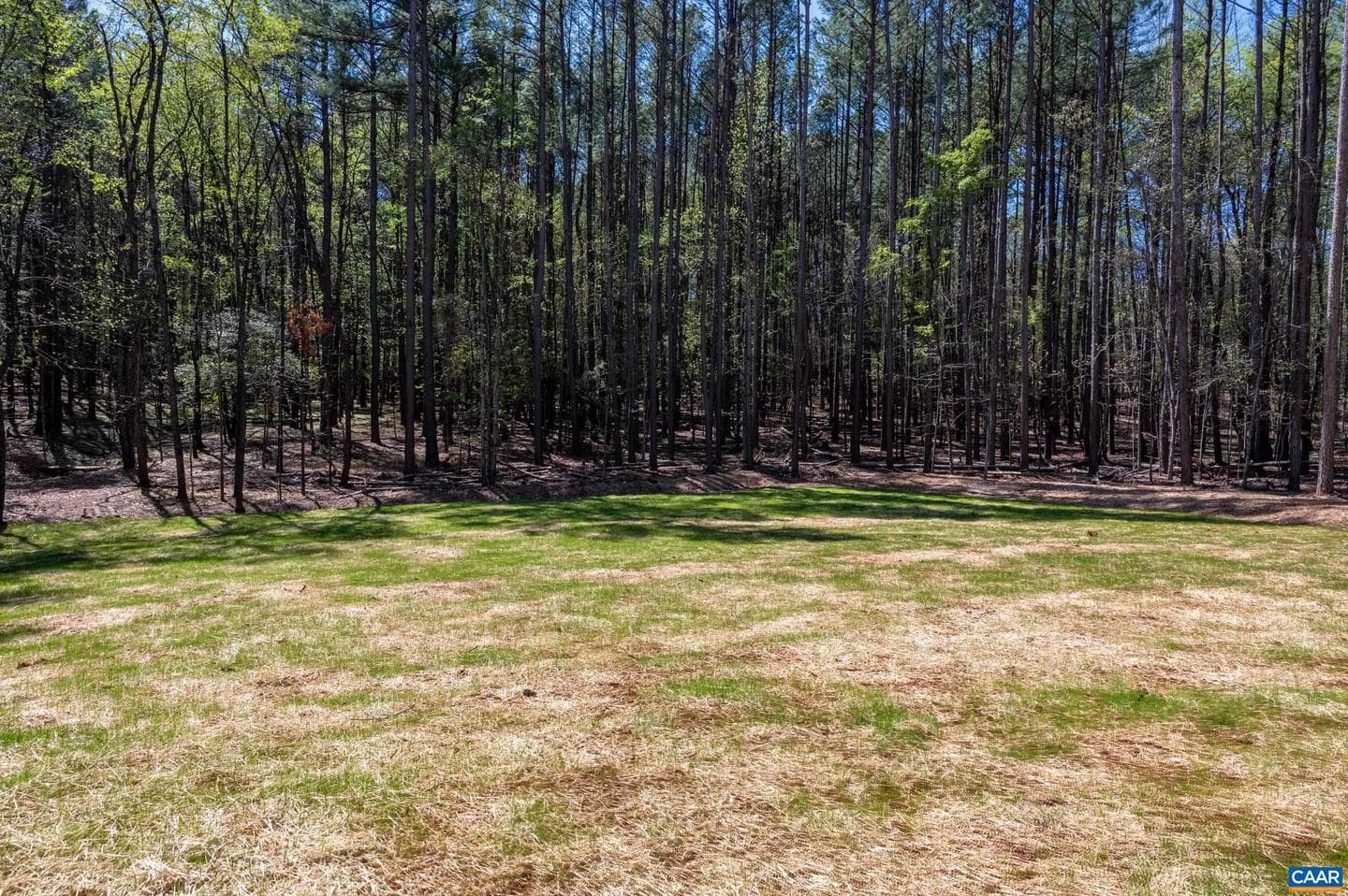 21 Acres Tbb Garth Gate Ln photo 15