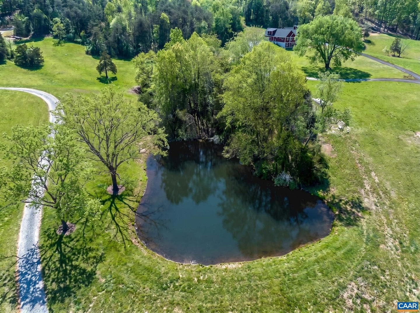 1671 Dudley Mountain Rd photo 47