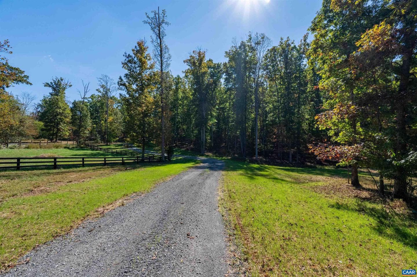 7337-B Dick Woods Rd photo 10
