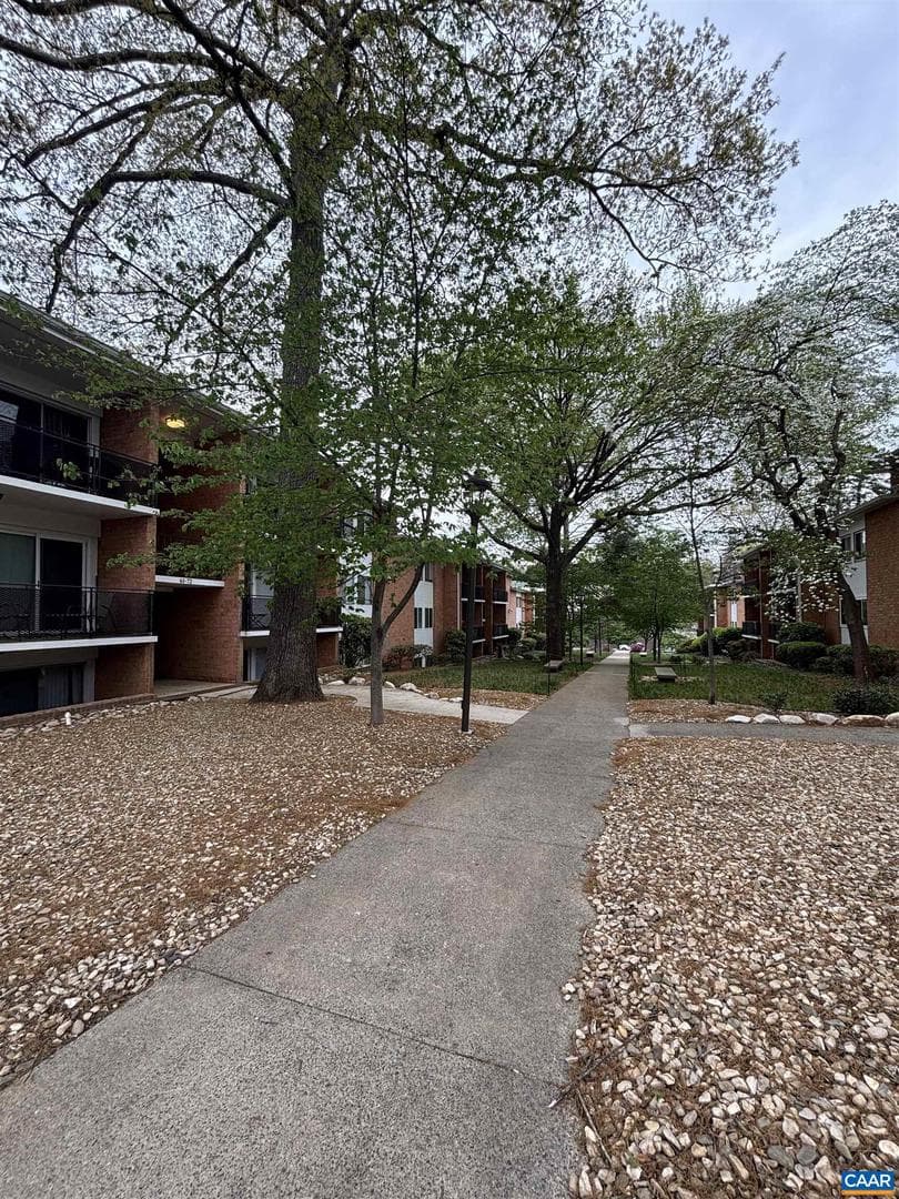 1800 Jefferson Park Ave #62 photo 12