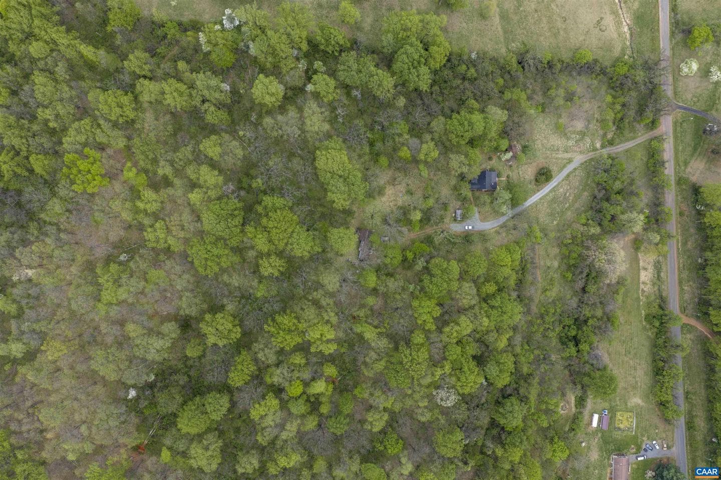 3898 Vineyard Rd photo 49