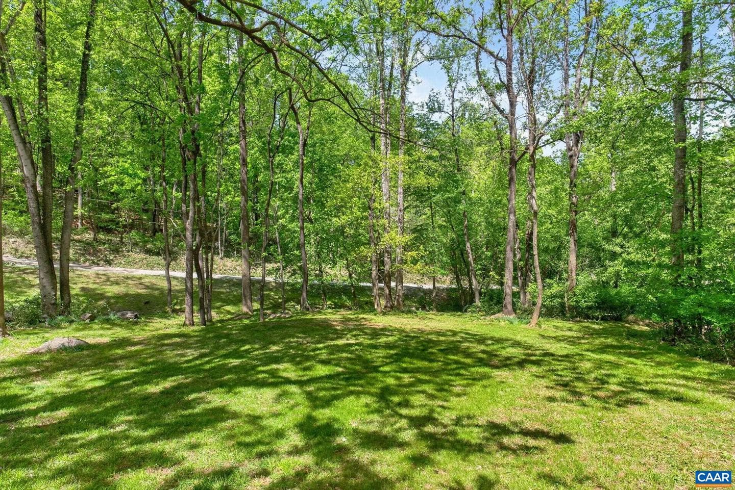 5357 Turkey Sag Rd photo 33