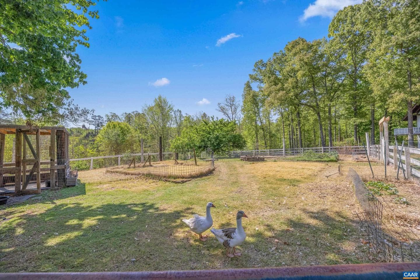2947 Merrie Meadows Ln photo 5