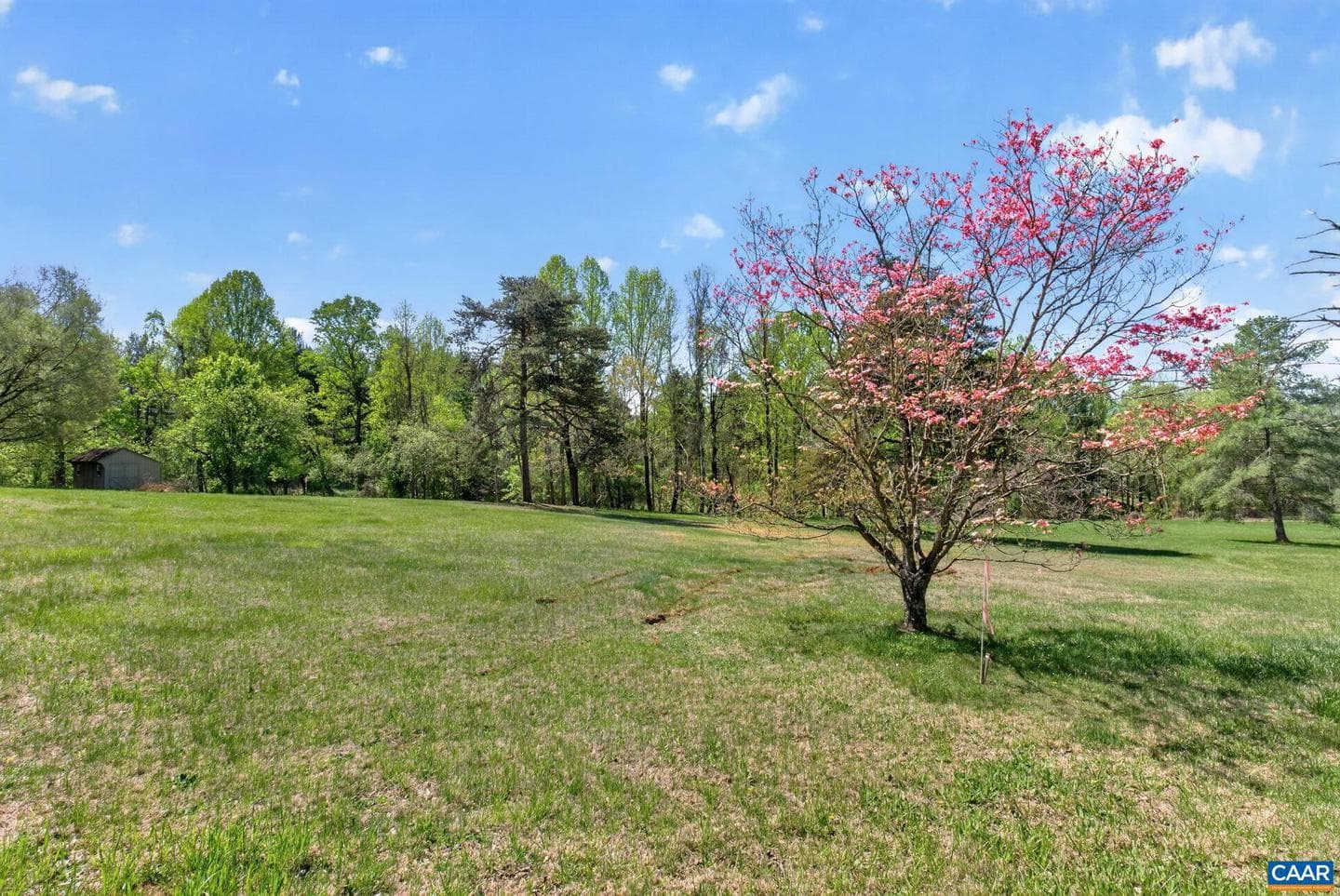 2 Acres Tbb Franklin Dr photo 47