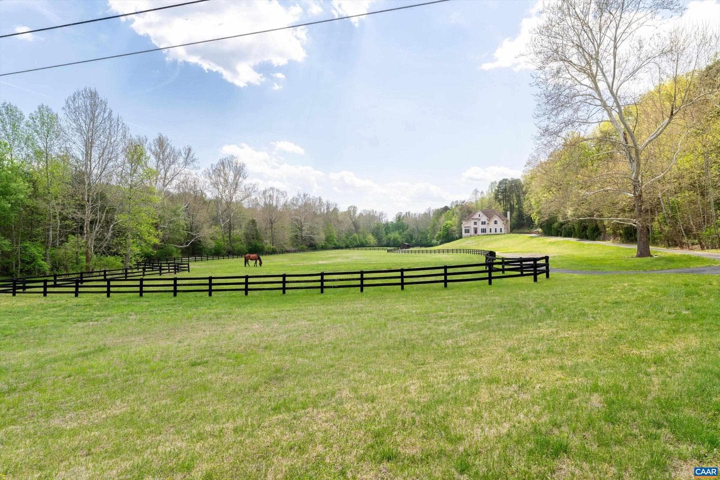 1450 Matthew Mill Rd photo 3