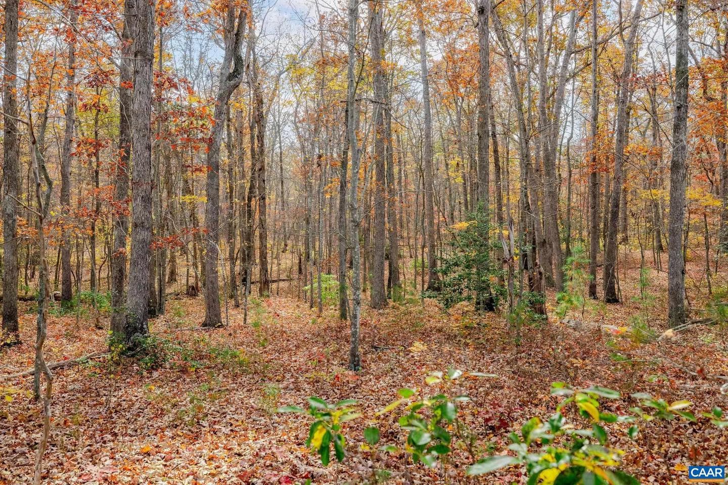 21 Acres Tbb Coles Rolling Rd photo 3