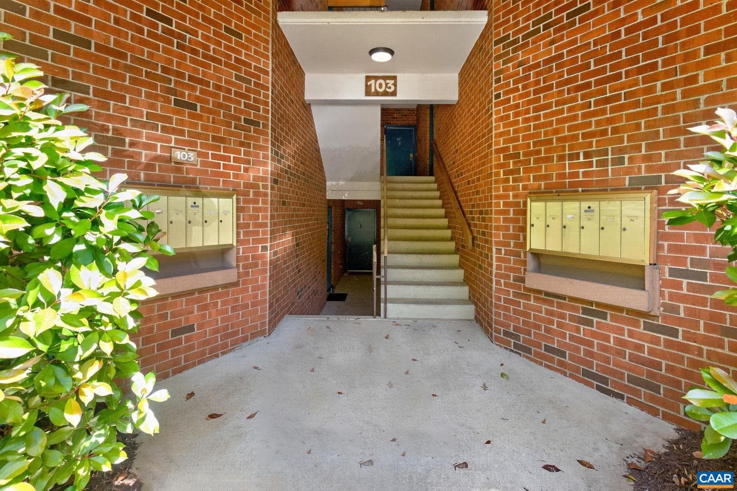 103 Turtle Creek Rd #8 photo 34